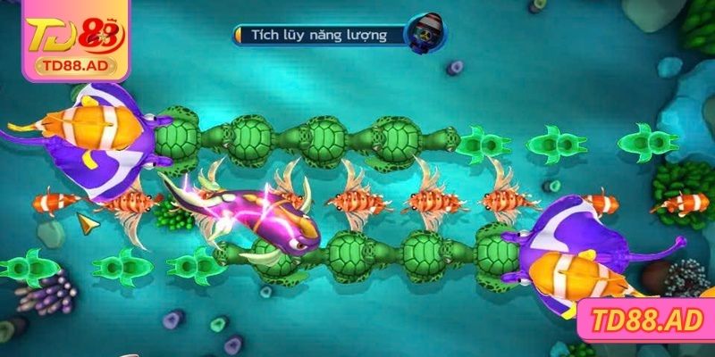 Cách chơi để bạn nắm được chi tiết và hiệu quả 