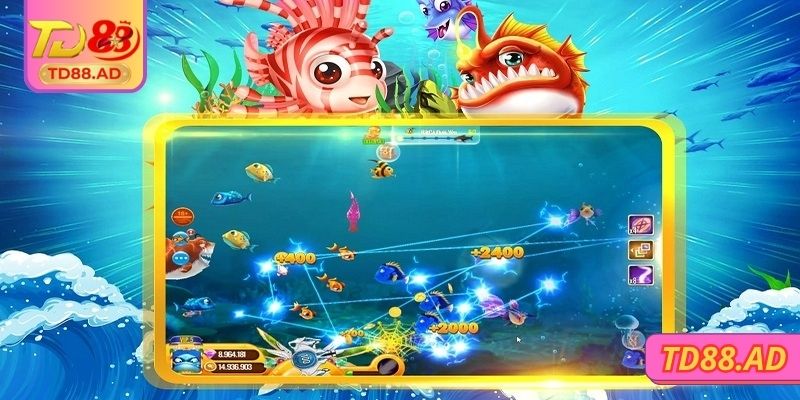 Giới thiệu về Bao Chuan Fishing TD88 thú vị nhất 