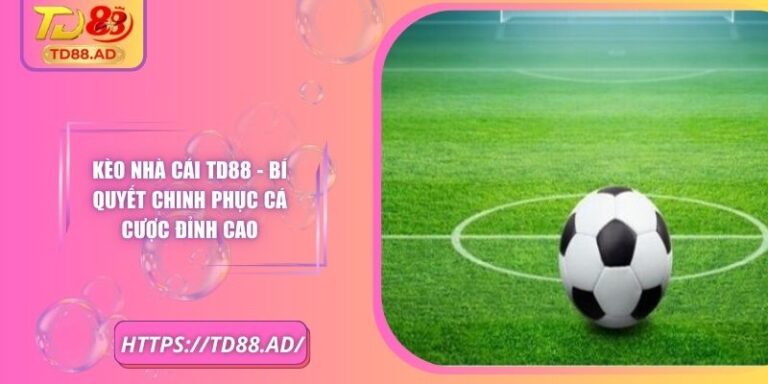 Kèo Nhà Cái TD88 - Bí Quyết Chinh Phục Cá Cược Đỉnh Cao 9 Kèo Nhà Cái TD88 - Bí Quyết Chinh Phục Cá Cược Đỉnh Cao