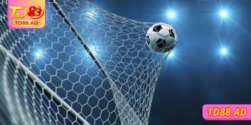 Tổng quan cơ bản về kèo rung TD88 và lợi ích