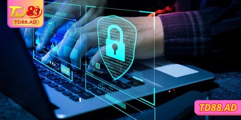 Miễn Trừ Trách Nhiệm 3 Hành động trái luật trong quá trình sử dụng dịch vụ