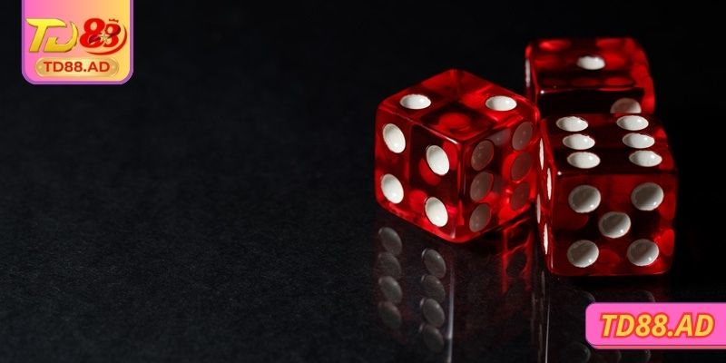 Dụng cụ tham gia đặt cược thành viên cần nắm 