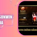Cổng Sunwin Giả: Cảnh Báo Rủi Ro Lừa Đảo Người Chơi